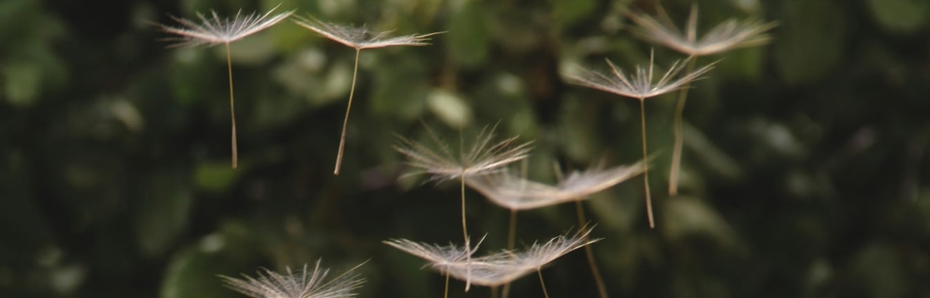 Redefining resilience - From past to today and future conditions